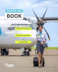 Domestic Air Transfer